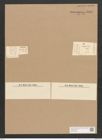 Diatomeae indet. Zeichnungen Sammlung Grunow Nr. 3905 (NHMW-BOT-W0371633)
